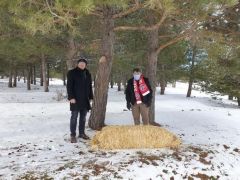 Akdağ Tabiat Parkına, Yaban Yaşam için Yem Bırakıldı