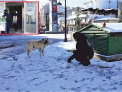 Soğuk Havalarda Sokak Hayvanları Unutulmadı