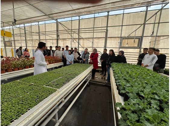 Sandıklı MYO Öğrencilerinden Seralara Teknik Gezi