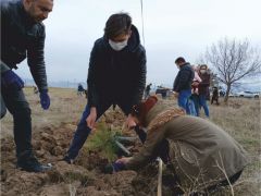 ADD Üyeleri, 8 Mart Dünya Kadınlar Günü İçin Fidan Dikti