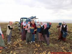 “TARIMDA EN AĞIR İŞ YÜKÜ KADINLARIN”