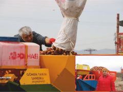 İlçemizde patates ekimi başladı