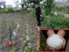 Dolu Tarım Arazilerine Zarar Verdi