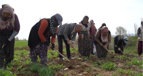 TAYTAK’TAN ÇİFTÇİYE MÜJDE