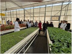 Sandıklı MYO Öğrencilerinden Seralara Teknik Gezi